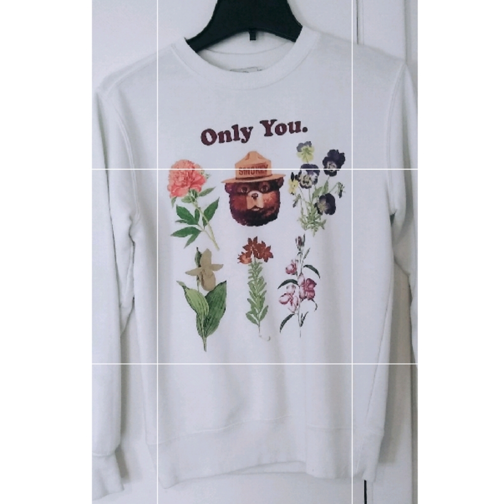 Only YOU Can Stop Wildfires Sweater 🐻